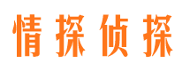 从江市侦探公司